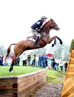Boyd Martin and Neville Bardos at Rolex