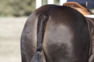 Drk_Brown_Braided_Tail