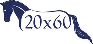 20x60logo