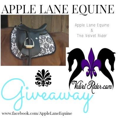 ALE_Giveaway