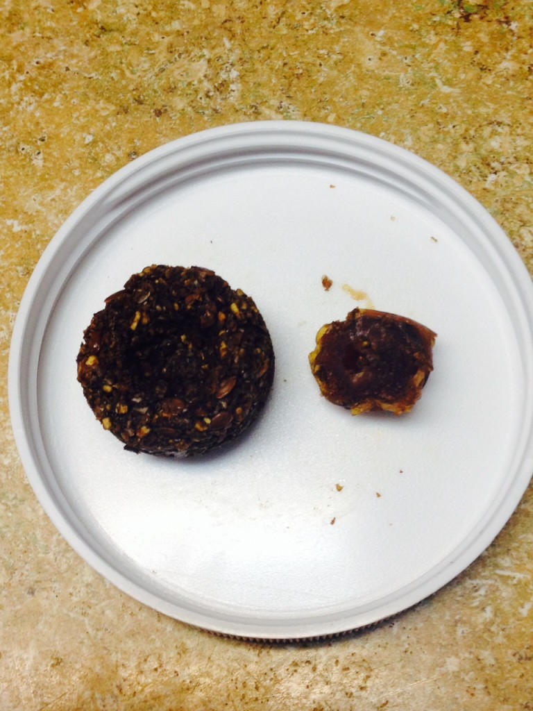 charleighs_coverup_cookie5
