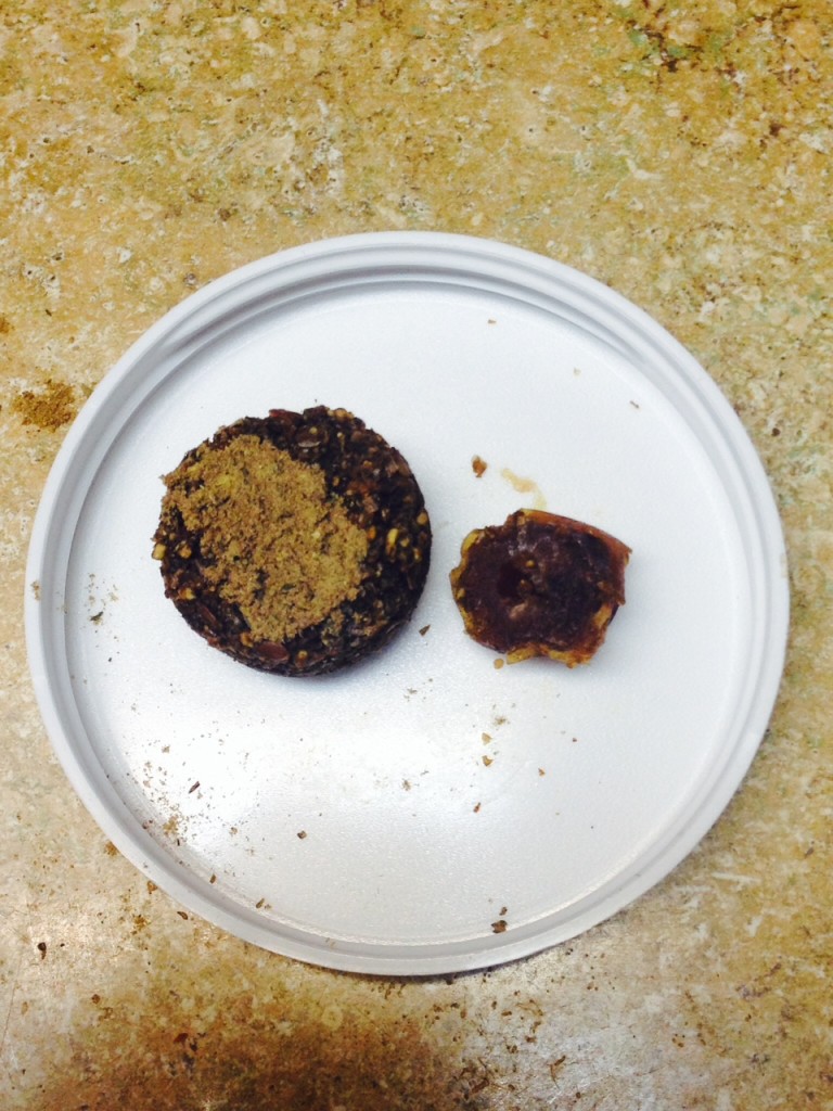 charleighs_coverup_cookie6