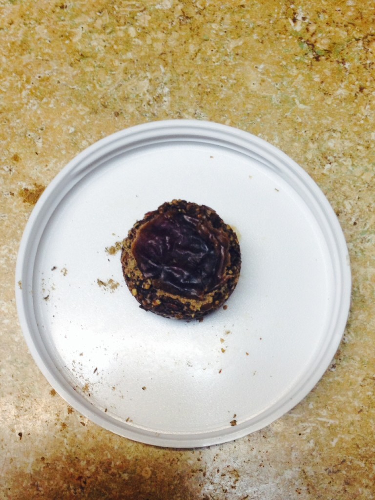 charleighs_coverup_cookie7
